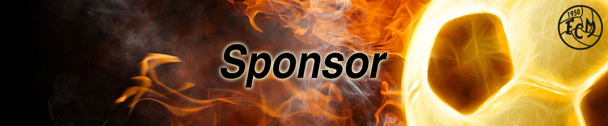 Sponsor